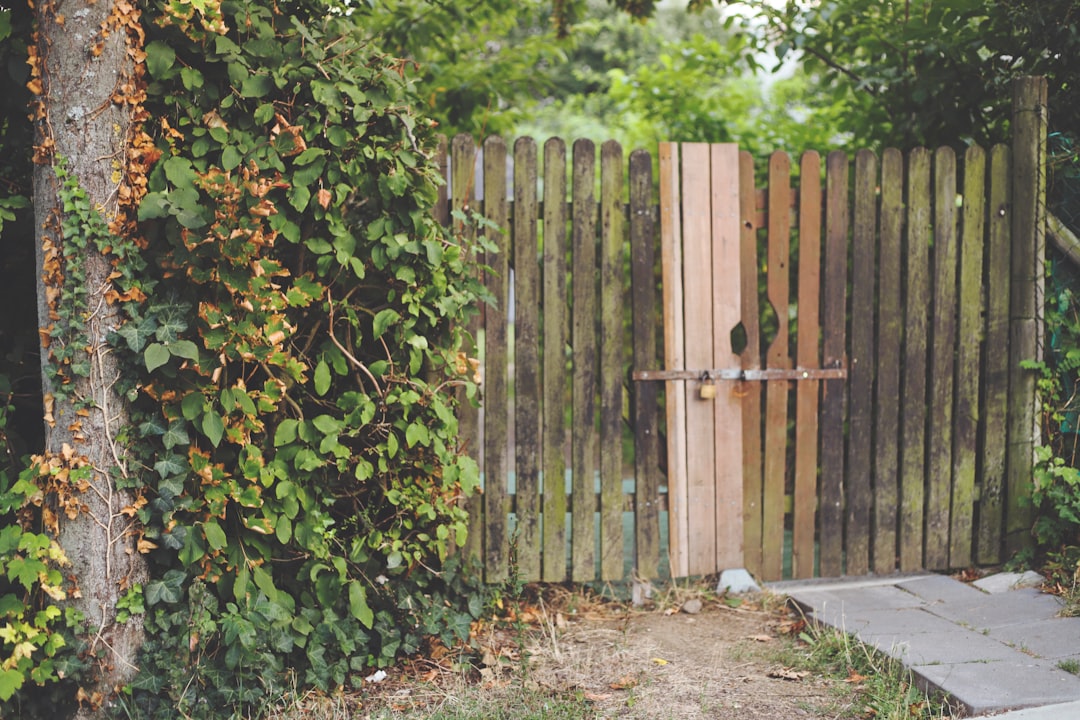 Storm-damaged fence in Edmond